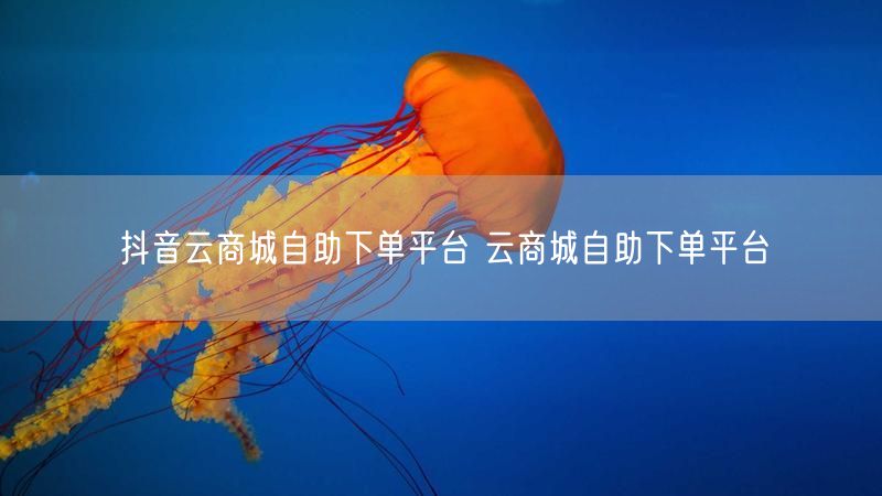 抖音云商城自助下单平台 云商城自助下单平台