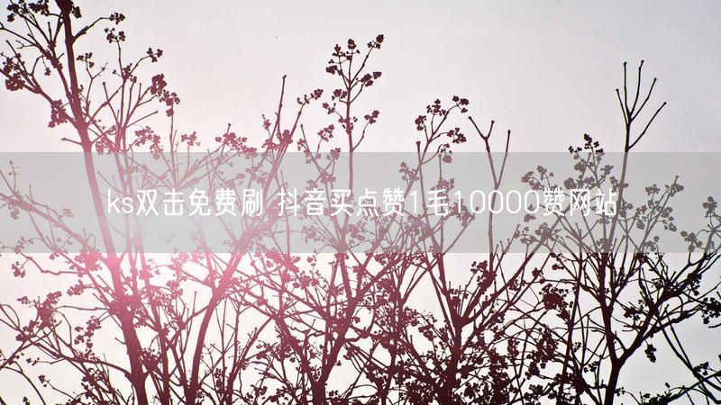 ks双击免费刷 抖音买点赞1毛10000赞网站