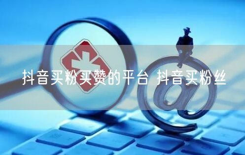 抖音买粉买赞的平台 抖音买粉丝