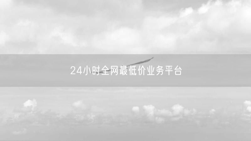 24小时全网最低价业务平台