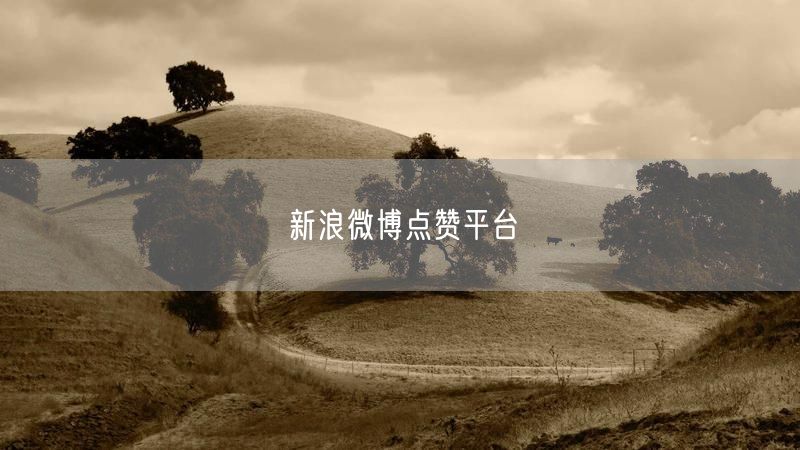 新浪微博点赞平台