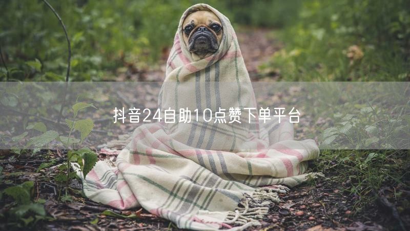 抖音24自助10点赞下单平台