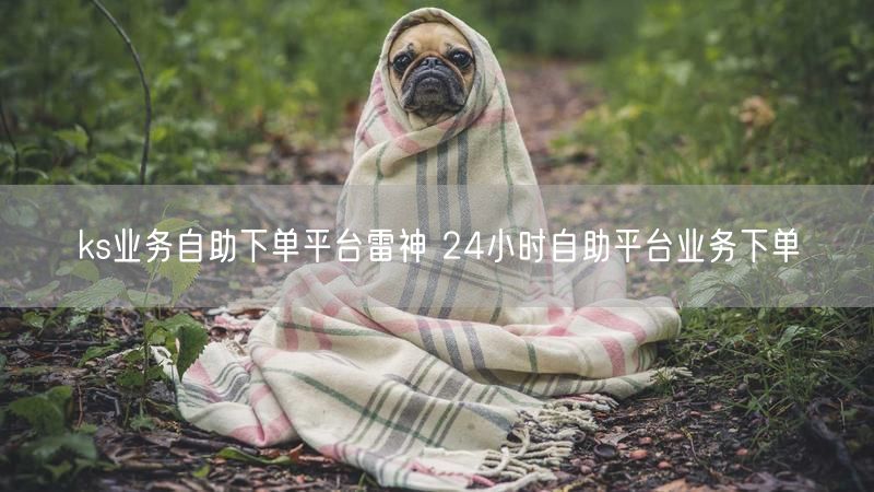 ks业务自助下单平台雷神 24小时自助平台业务下单