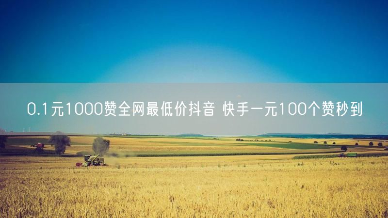 0.1元1000赞全网最低价抖音 快手一元100个赞秒到