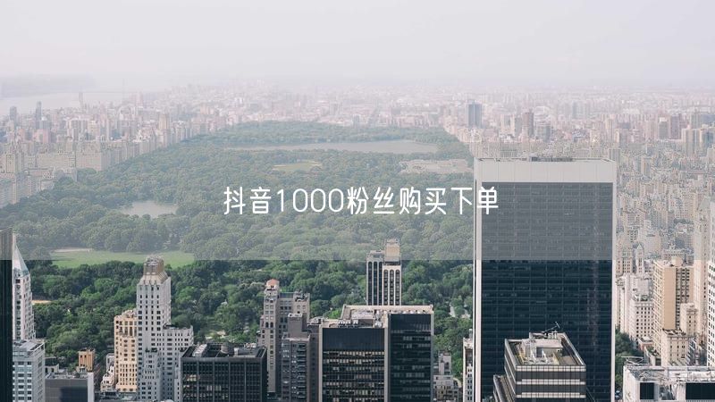 抖音1000粉丝购买下单