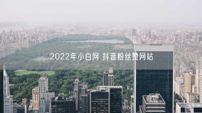 2022年小白网 抖音粉丝赞网站