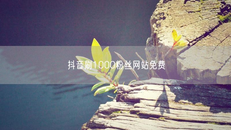抖音刷1000粉丝网站免费