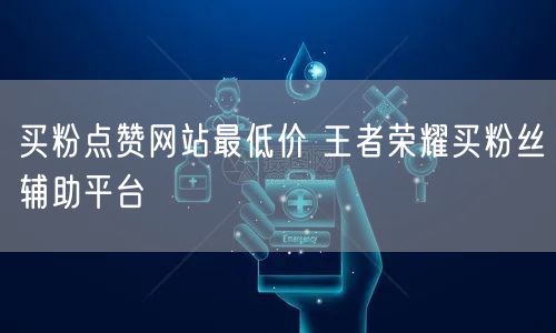 买粉点赞网站最低价 王者荣耀买粉丝辅助平台