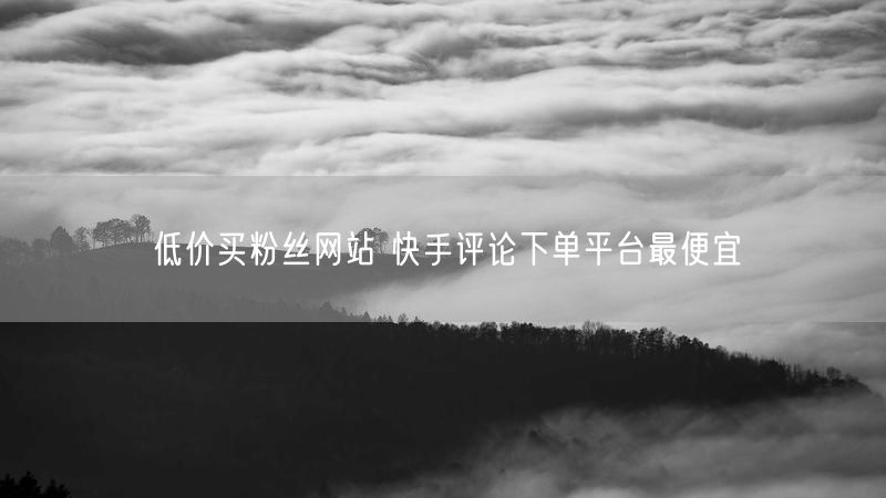 低价买粉丝网站 快手评论下单平台最便宜