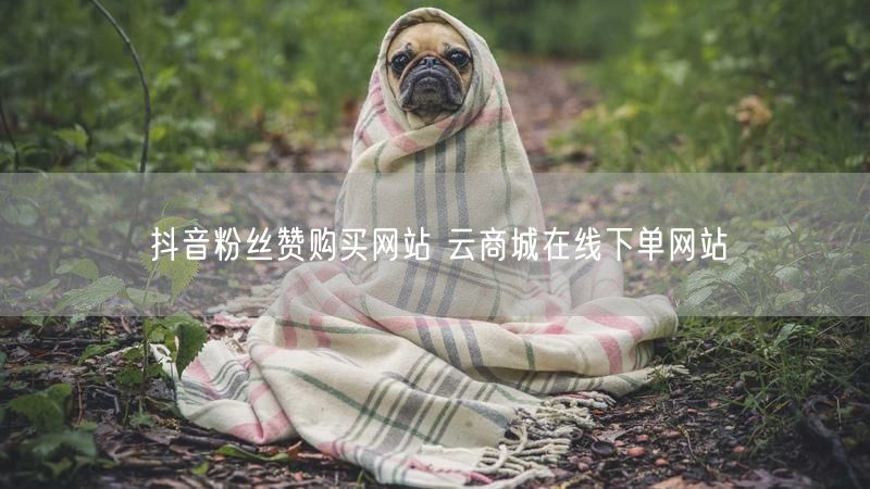 抖音粉丝赞购买网站 云商城在线下单网站