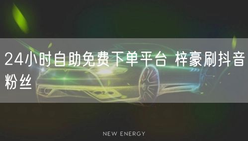 24小时自助免费下单平台 梓豪刷抖音粉丝