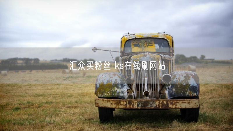 汇众买粉丝 ks在线刷网站