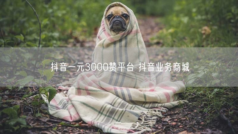 抖音一元3000赞平台 抖音业务商城