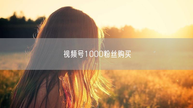 视频号1000粉丝购买