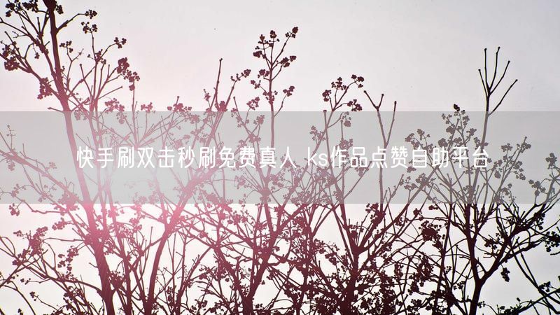 快手刷双击秒刷免费真人 ks作品点赞自助平台