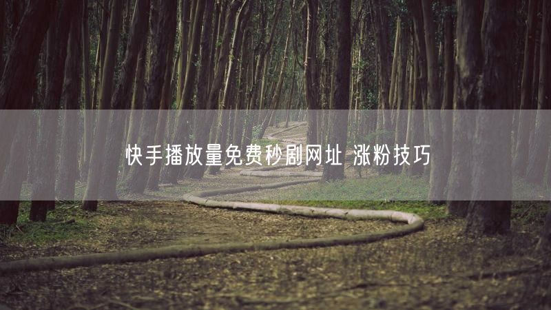 快手播放量免费秒剧网址 涨粉技巧
