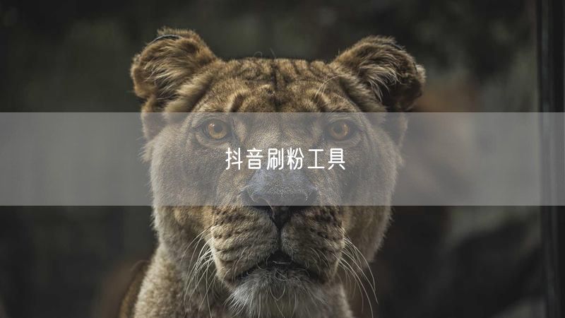 抖音刷粉工具