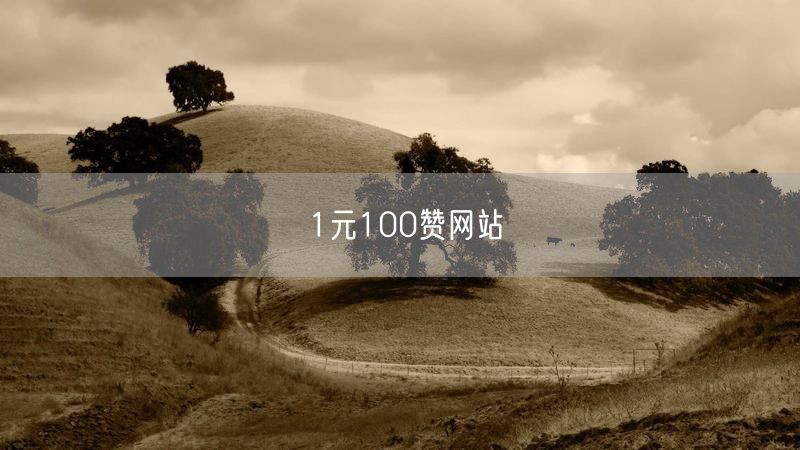 1元100赞网站