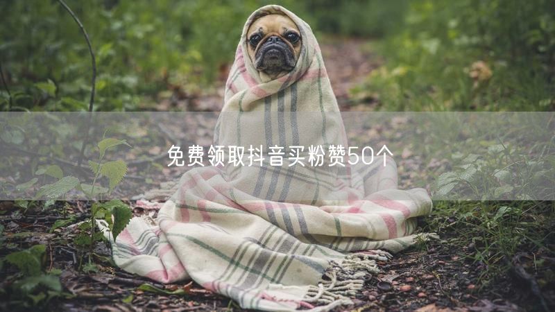 免费领取抖音买粉赞50个
