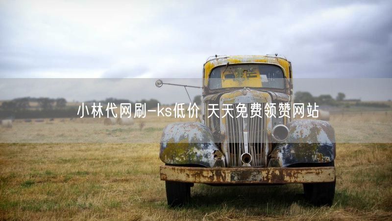 小林代网刷-ks低价 天天免费领赞网站