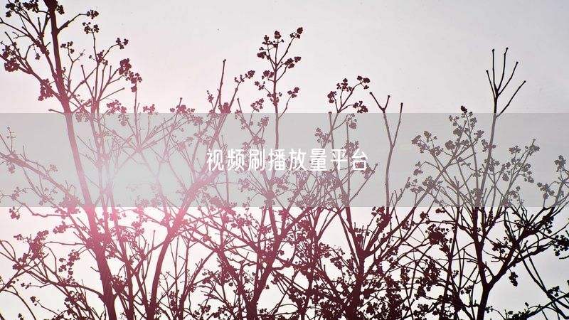 视频刷播放量平台
