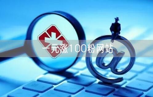 一元涨100粉网站