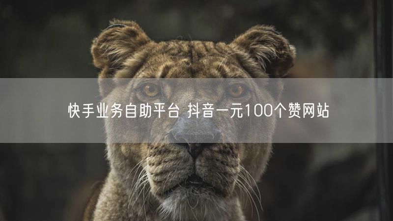 快手业务自助平台 抖音一元100个赞网站