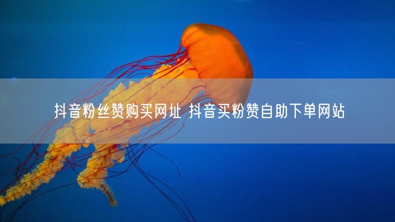 抖音粉丝赞购买网址 抖音买粉赞自助下单网站
