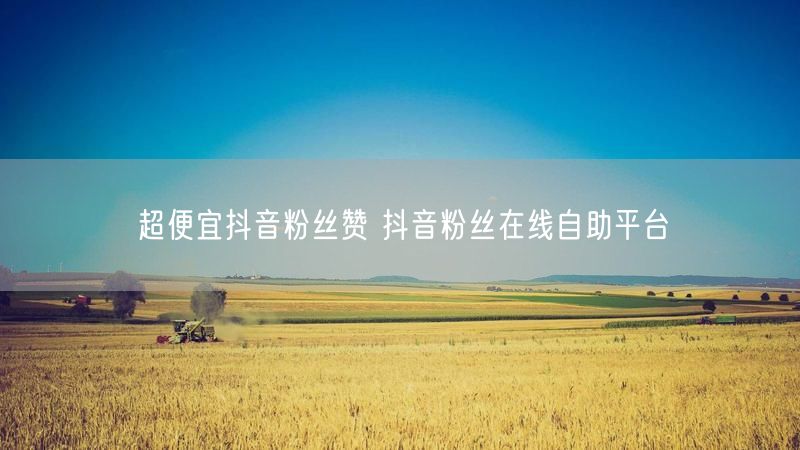超便宜抖音粉丝赞 抖音粉丝在线自助平台