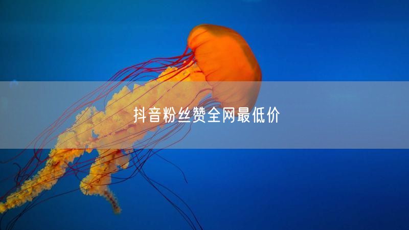 抖音粉丝赞全网最低价