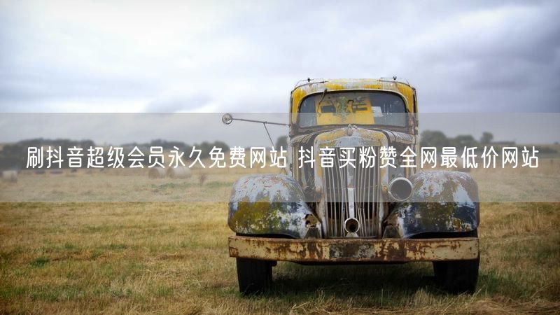 刷抖音超级会员永久免费网站 抖音买粉赞全网最低价网站
