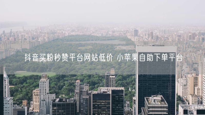 抖音买粉秒赞平台网站低价 小苹果自助下单平台
