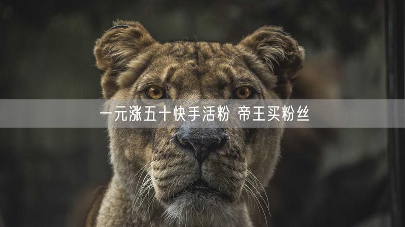 一元涨五十快手活粉 帝王买粉丝