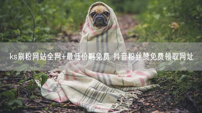 ks刷粉网站全网+最低价啊免费 抖音粉丝赞免费领取网址