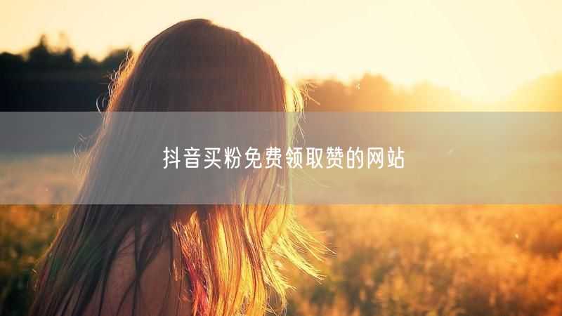 抖音买粉免费领取赞的网站