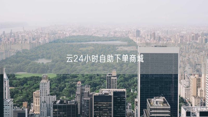 云24小时自助下单商城