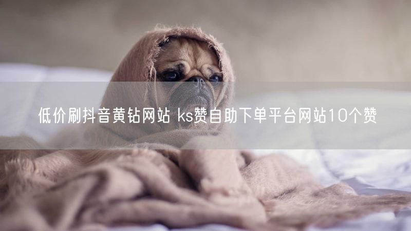 低价刷抖音黄钻网站 ks赞自助下单平台网站10个赞