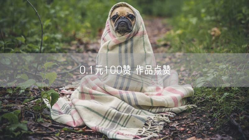 0.1元100赞 作品点赞