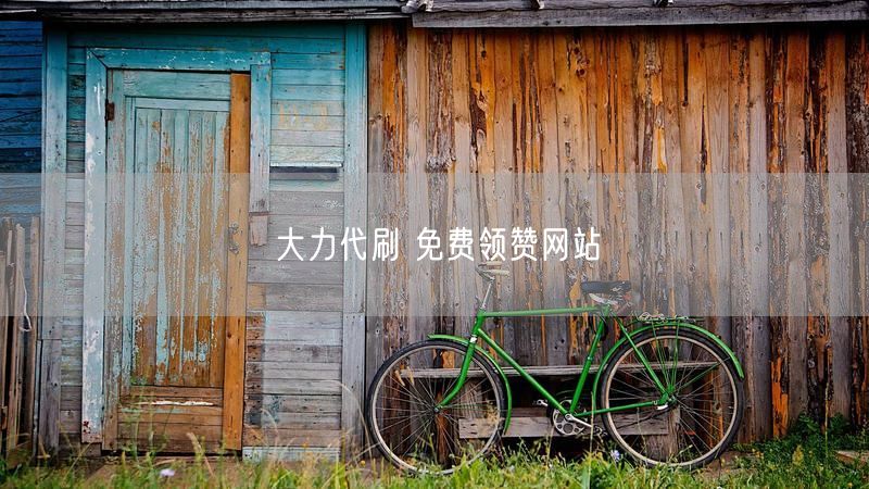 大力代刷 免费领赞网站