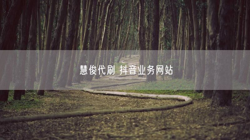 慧俊代刷 抖音业务网站