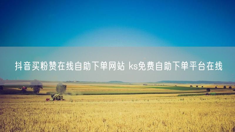 抖音买粉赞在线自助下单网站 ks免费自助下单平台在线