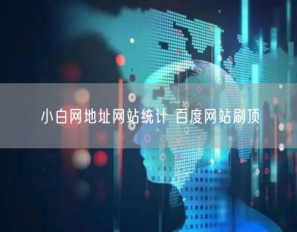 小白网地址网站统计 百度网站刷顶