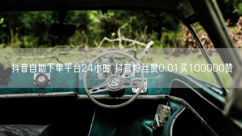 抖音自助下单平台24小时 抖音粉丝赞0.01买100000赞