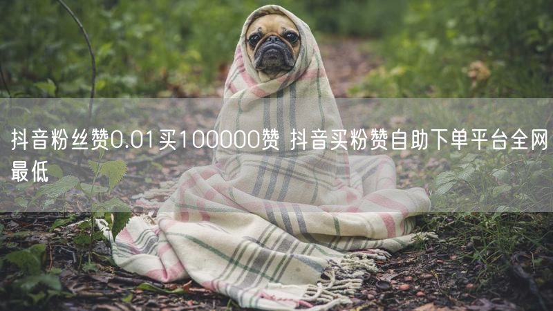 抖音粉丝赞0.01买100000赞 抖音买粉赞自助下单平台全网最低