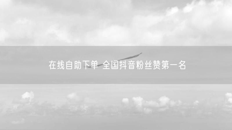 在线自助下单 全国抖音粉丝赞第一名