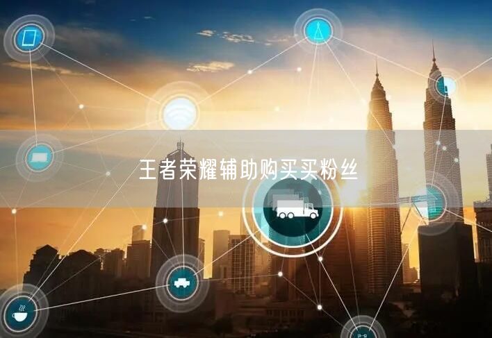 王者荣耀辅助购买买粉丝