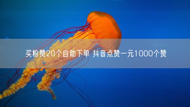买粉赞20个自助下单 抖音点赞一元1000个赞