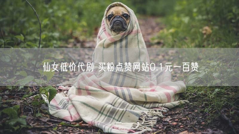 仙女低价代刷 买粉点赞网站0.1元一百赞