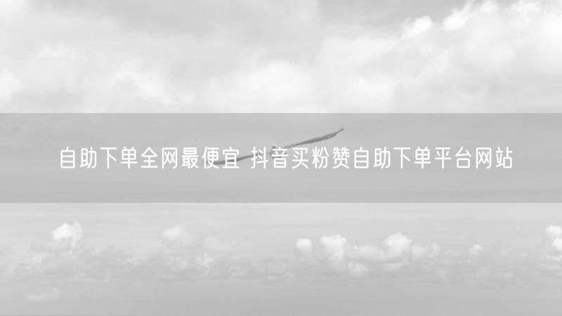 自助下单全网最便宜 抖音买粉赞自助下单平台网站