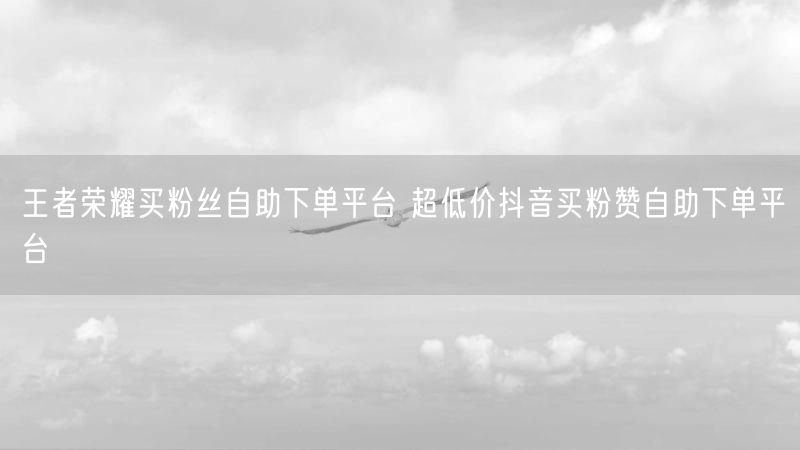 王者荣耀买粉丝自助下单平台 超低价抖音买粉赞自助下单平台